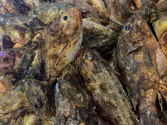 Similar image 21124550