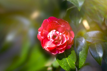 Similar image 21124552