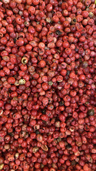 Similar image 21124554