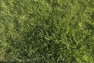 Similar image 21124555