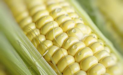 Similar image 21124309