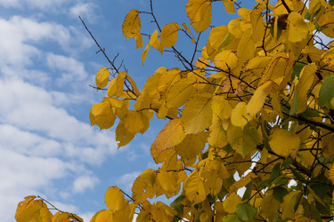 Similar image 21115936