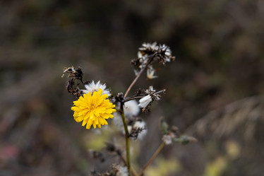 Similar image 21115940