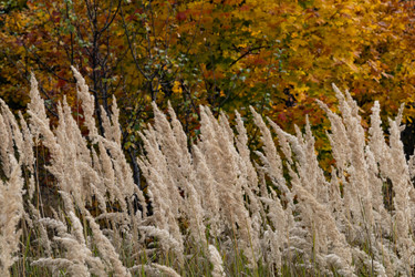 Similar image 21115730