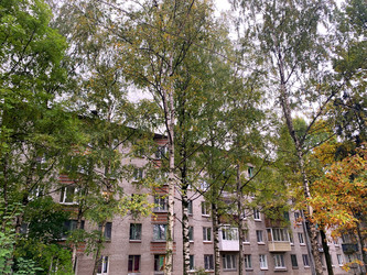 Similar image 21117143