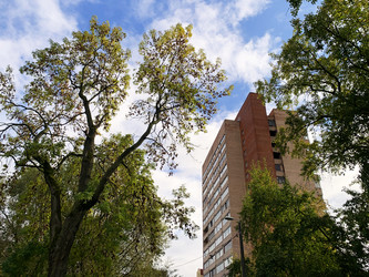 Similar image 21117150