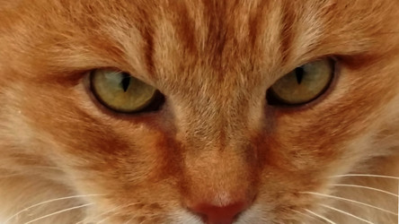 Similar image 21121649