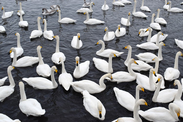 Similar image 21121653