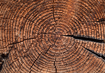 Similar image 21121655