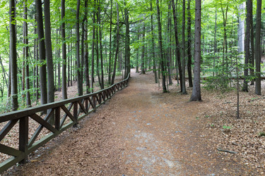 Similar image 21119932