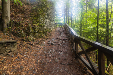 Similar image 21119943