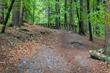 Similar image 21119944