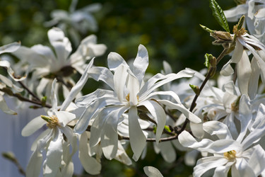 Similar image 21117175