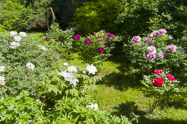 Similar image 21117179