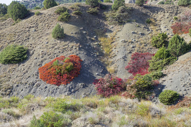 Similar image 21117181