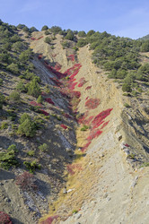 Similar image 21117182