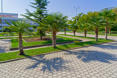 Similar image 21117186