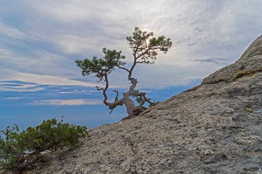 Similar image 21117187