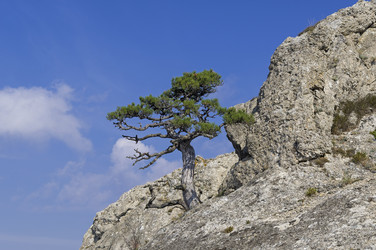 Similar image 21117188