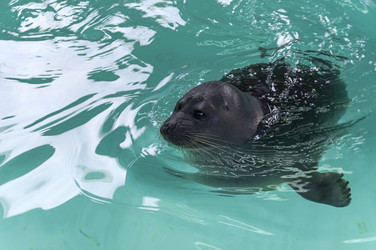 Similar image 21117192