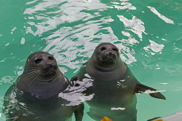 Similar image 21117193