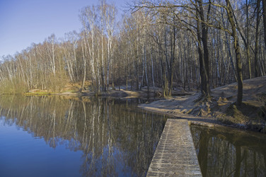 Similar image 21117195