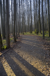 Similar image 21117196