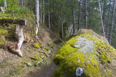 Similar image 21117205