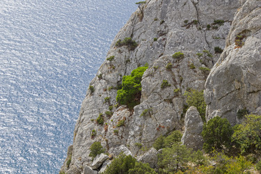 Similar image 21117207