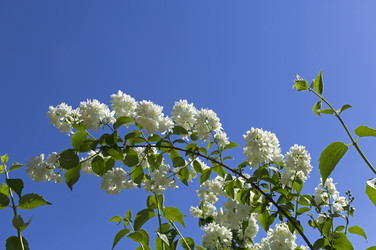 Similar image 21117208