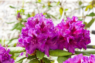 Similar image 21117212