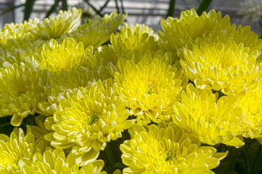 Similar image 21117214