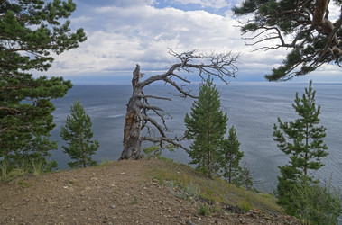 Similar image 21117219