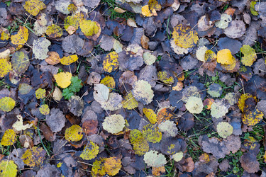 Similar image 21115941