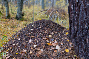 Similar image 21115944