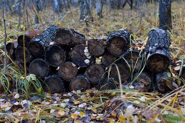 Similar image 21115945