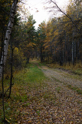 Similar image 21115949