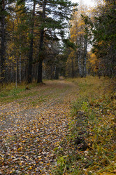 Similar image 21115950