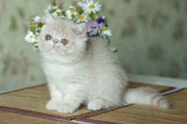 Similar image 21117222