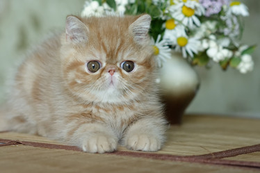 Similar image 21117223