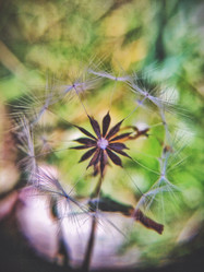 Similar image 21129672