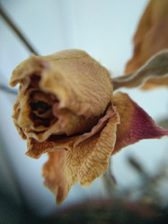 Similar image 21129674