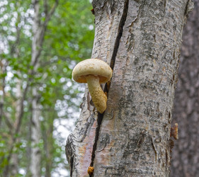 Similar image 21117227