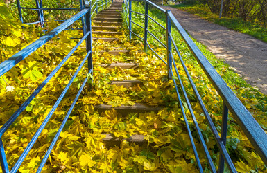 Similar image 21117228