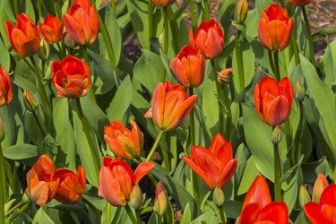 Similar image 21117234