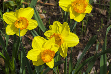 Similar image 21117236