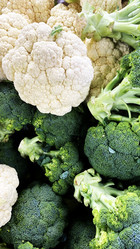 Similar image 21124319