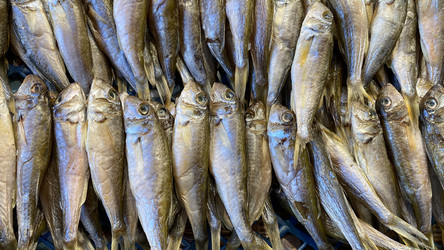 Similar image 21124324