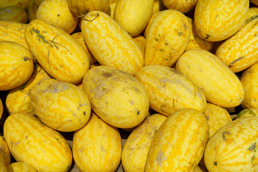 Similar image 21124326