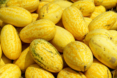 Similar image 21124328